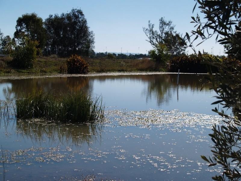 95 Coates Street, Laidley QLD 4341