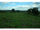 Laidley QLD 4341