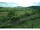 Laidley QLD 4341
