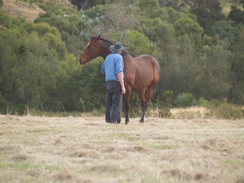13 Jims Road, Mount Berryman QLD 4341