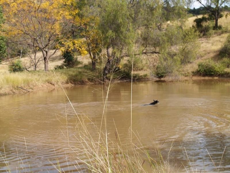 13 Jims Road, Mount Berryman QLD 4341