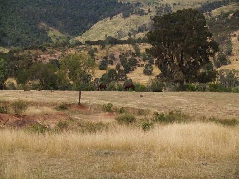 13 Jims Road, Mount Berryman QLD 4341