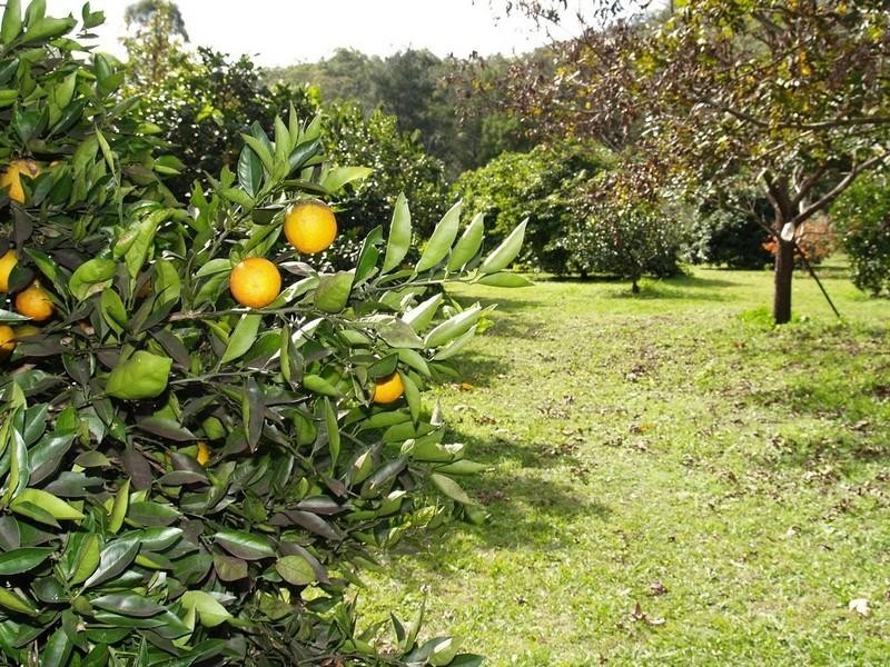 115 Mount Berryman Road, Mount Berryman QLD 4341