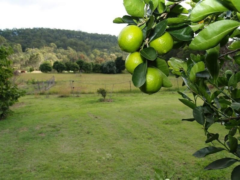 115 Mount Berryman Road, Mount Berryman QLD 4341