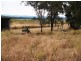 Lot 6 Forest Hill – Blenheim Road, Blenheim QLD 4341