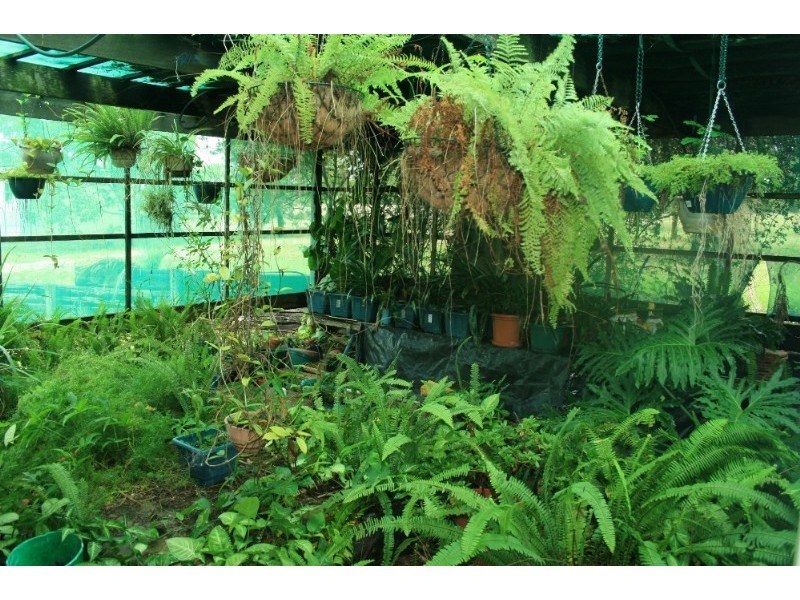 Regency Downs QLD 4341