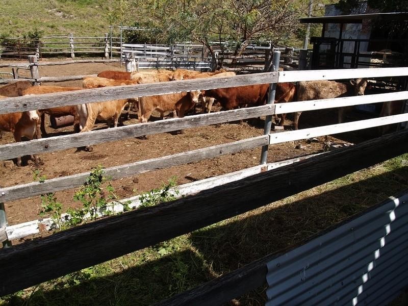 Lot 2 Ropeley Rockside Road, Rockside QLD 4343