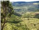 Lot 2 Ropeley Rockside Road, Rockside QLD 4343