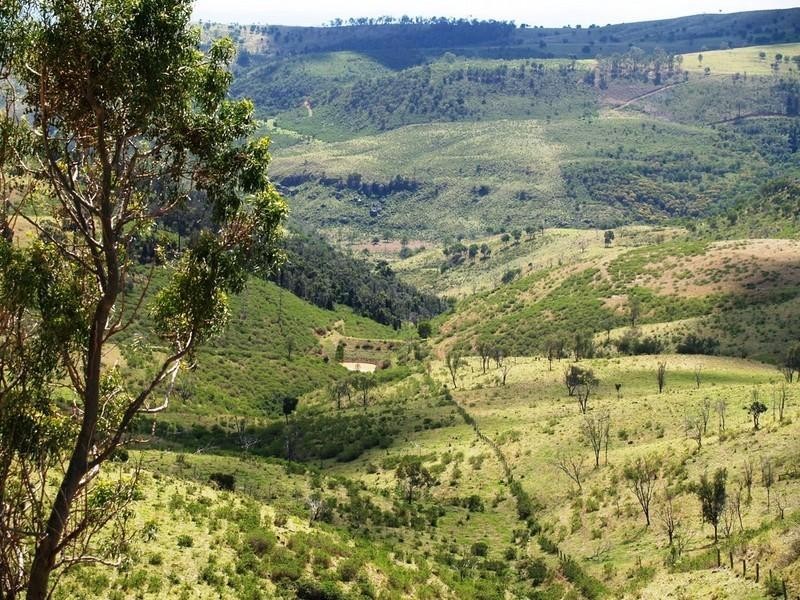 Lot 2 Ropeley Rockside Road, Rockside QLD 4343