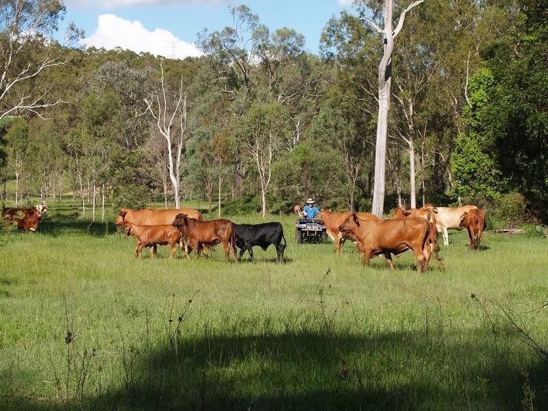 79 Sunset Bvld, Laidley QLD 4341