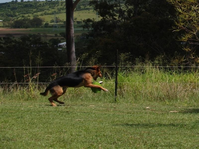 79 Sunset Bvld, Laidley QLD 4341