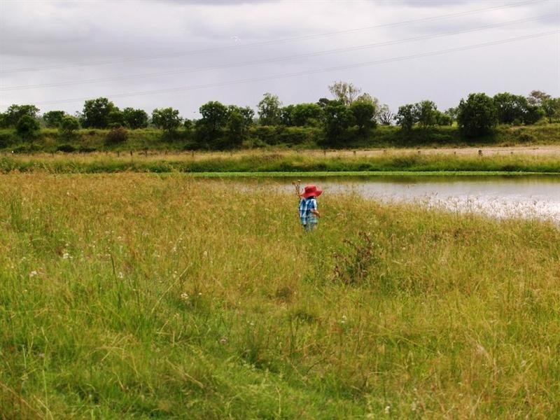 17 Mount Berryman Road, Blenheim QLD 4341