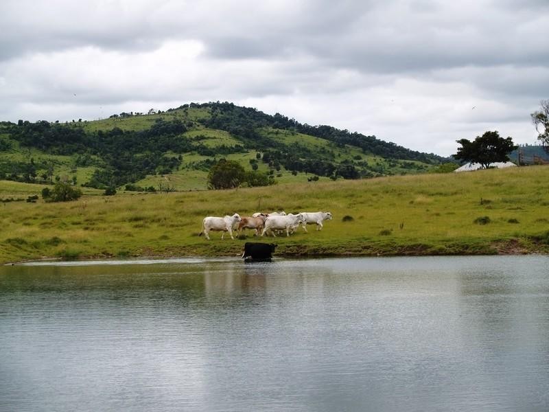 17 Mount Berryman Road, Blenheim QLD 4341