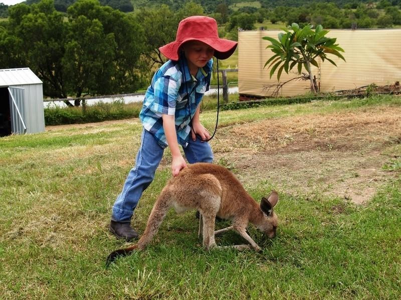 17 Mount Berryman Road, Blenheim QLD 4341