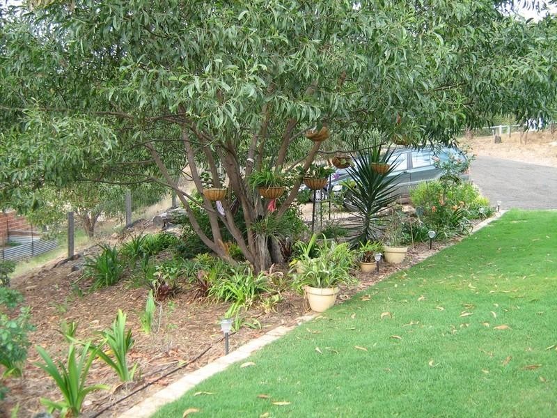 23 Bentley Drive, Regency Downs QLD 4341