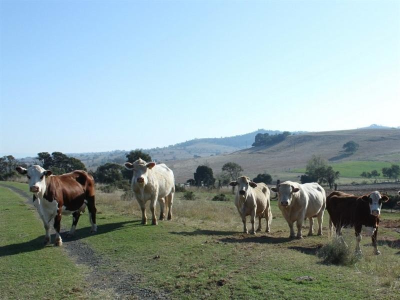 170 Weier, Gatton QLD 4343