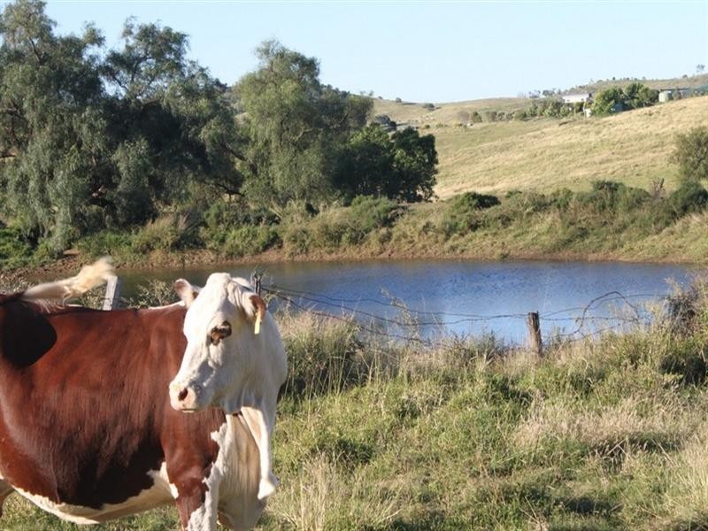 170 Weier, Gatton QLD 4343