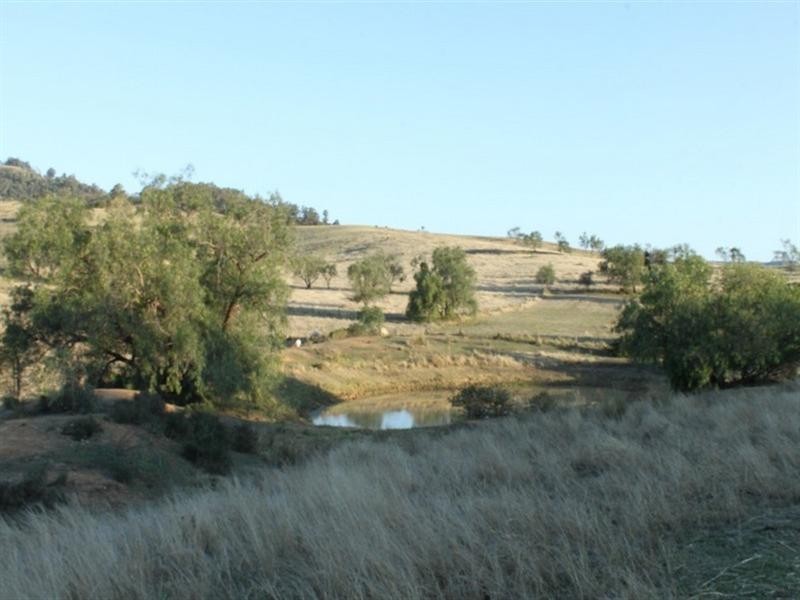 170 Weier, Gatton QLD 4343