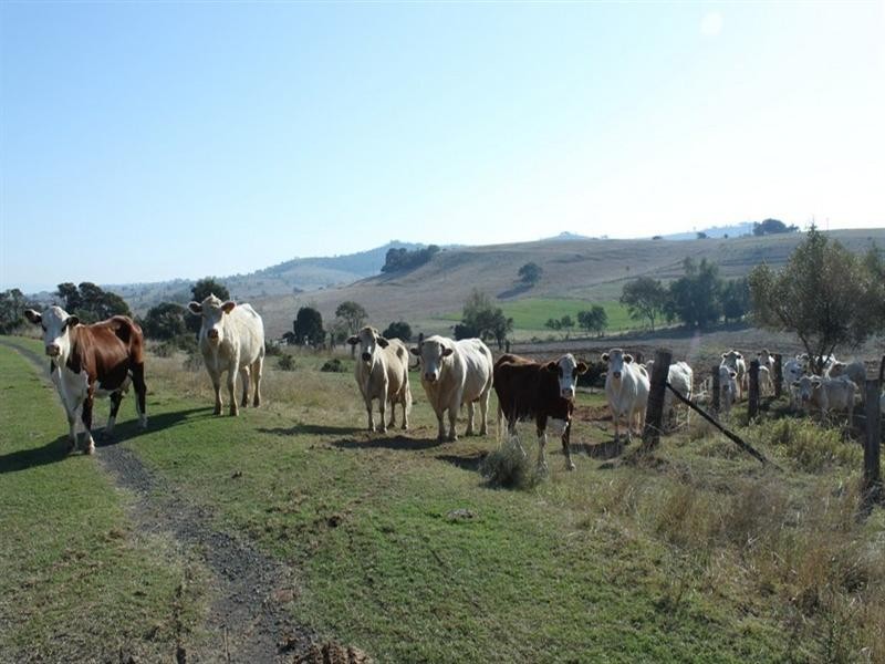 170 Weier, Gatton QLD 4343