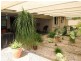 136 Helendale Drive, Helidon Spa QLD 4344