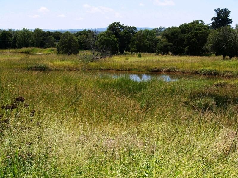 31 Woodlands Road, Gatton QLD 4343