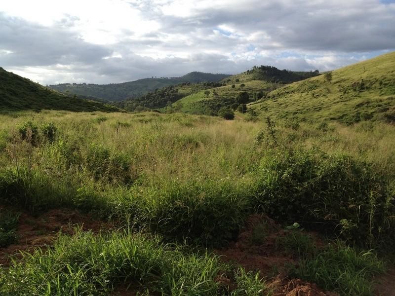 LOT 1 Ropeley Rockside Road, Rockside QLD 4343