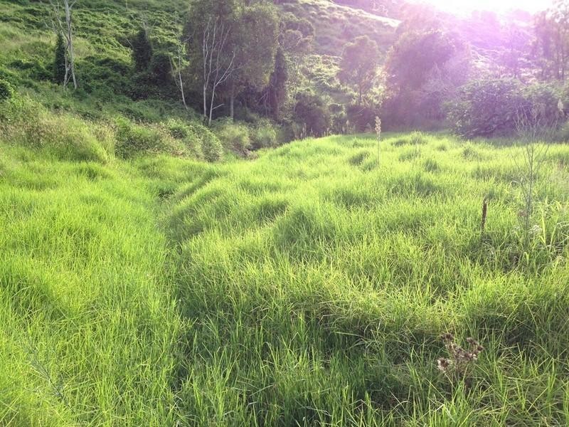 LOT 1 Ropeley Rockside Road, Rockside QLD 4343