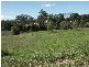 Regency Downs QLD 4341