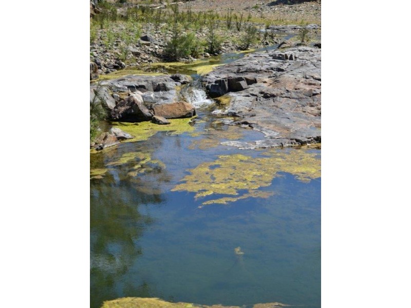 1198 Kavanaghs Road, Buaraba QLD 4311