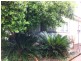 Gatton QLD 4343