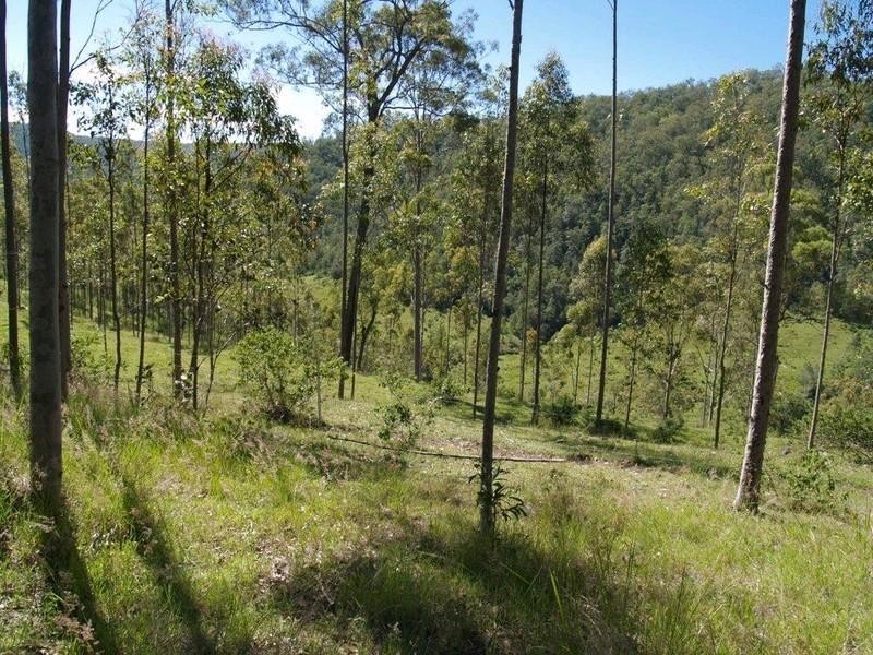 lot 1 Kavanaghs Road, Buaraba QLD 4311