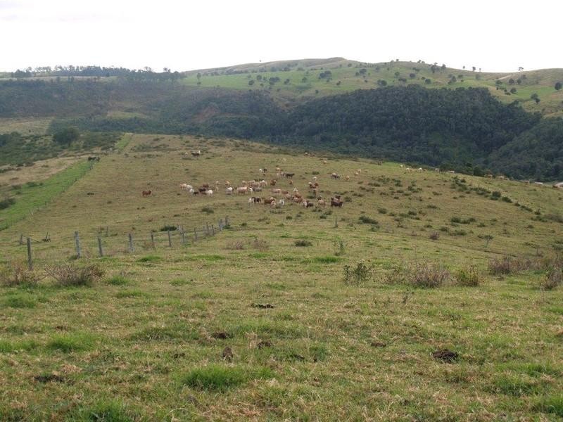 Lot 2 Ropeley Rockside Road, Rockside QLD 4343