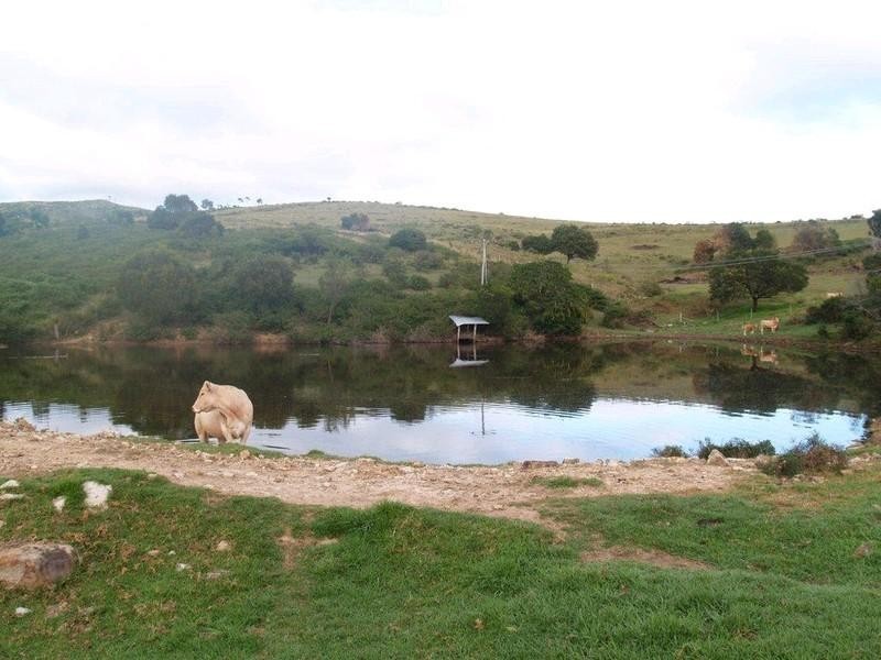 Lot 2 Ropeley Rockside Road, Rockside QLD 4343