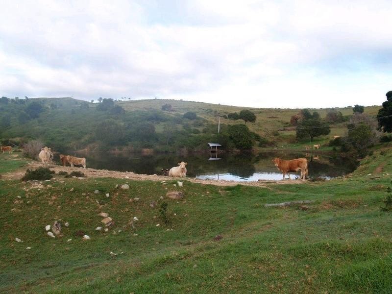 Lot 2 Ropeley Rockside Road, Rockside QLD 4343