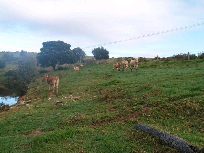 Lot 2 Ropeley Rockside Road, Rockside QLD 4343