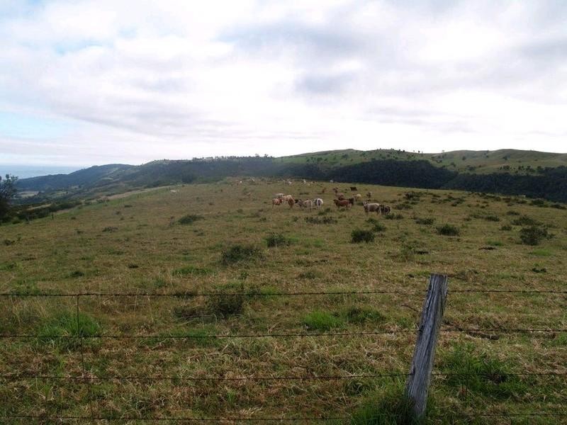 Lot 2 Ropeley Rockside Road, Rockside QLD 4343