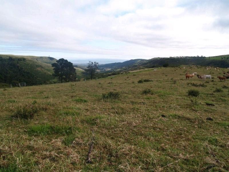 Lot 2 Ropeley Rockside Road, Rockside QLD 4343