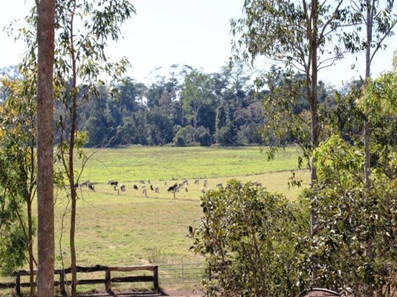 Ingham QLD 4850