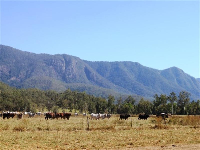 Ingham QLD 4850