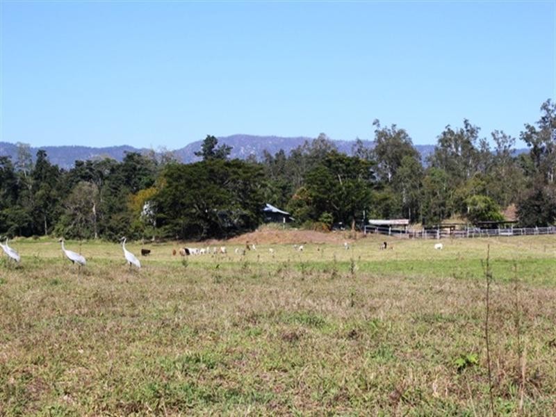 Ingham QLD 4850