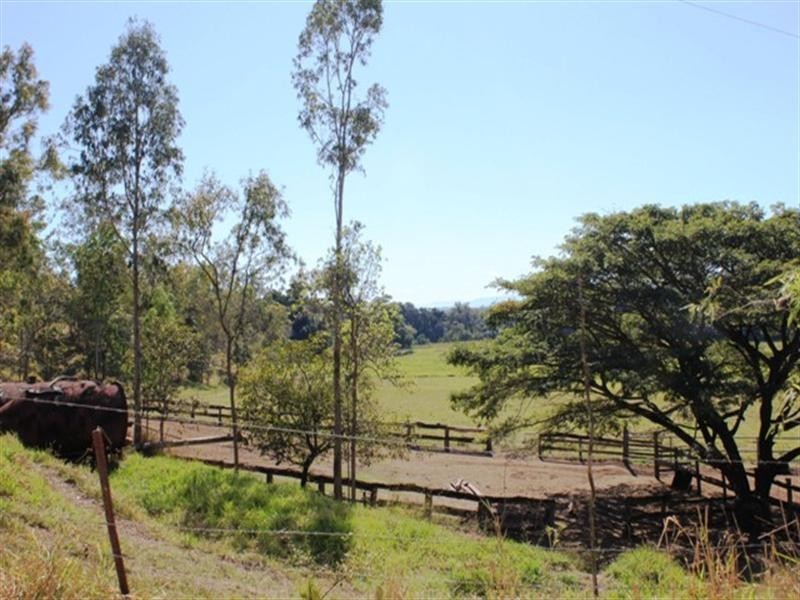 Ingham QLD 4850
