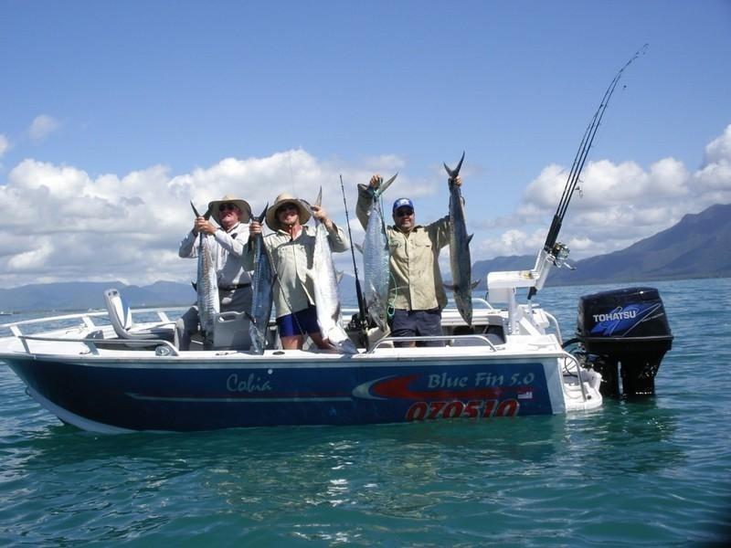 1/5 Ferrero Street, Lucinda QLD 4850