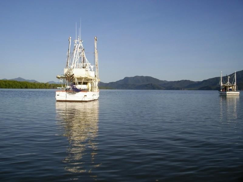 1/5 Ferrero Street, Lucinda QLD 4850