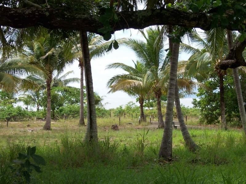 62 Patterson Parade, Lucinda QLD 4850