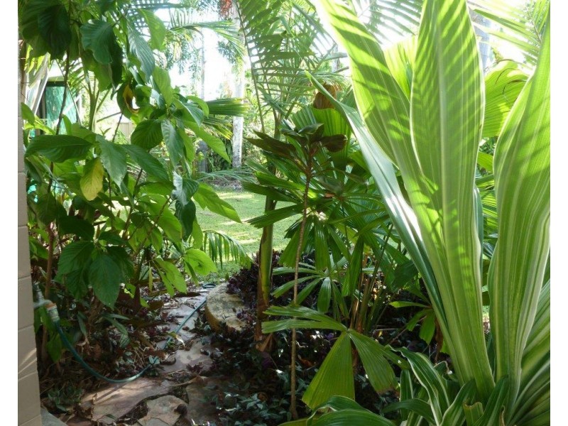 47 Marine Parade, Cardwell QLD 4849