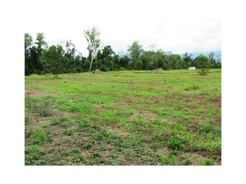 Lot 163 Raes Road, Abergowrie QLD 4850