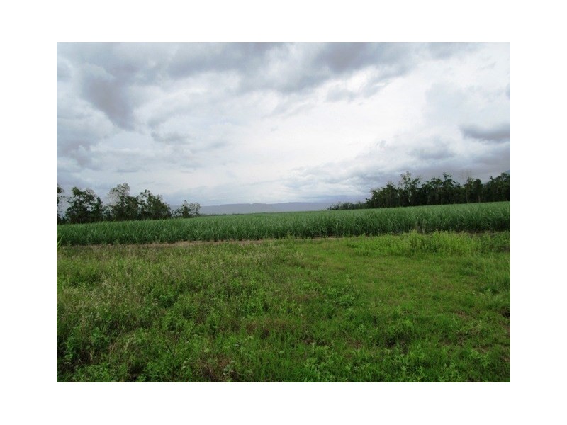 Lot 163 Raes Road, Abergowrie QLD 4850