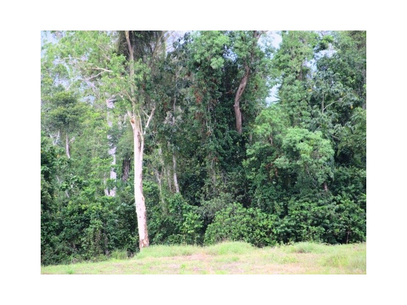 Lot 163 Raes Road, Abergowrie QLD 4850