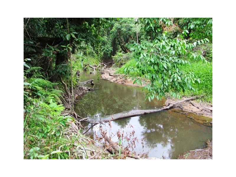 Lot 163 Raes Road, Abergowrie QLD 4850