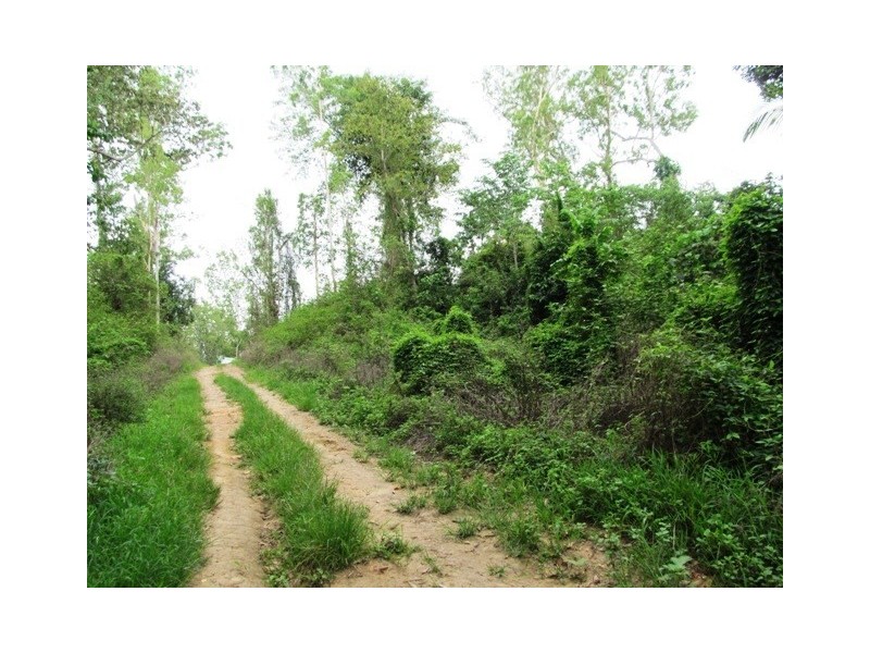 Lot 163 Raes Road, Abergowrie QLD 4850